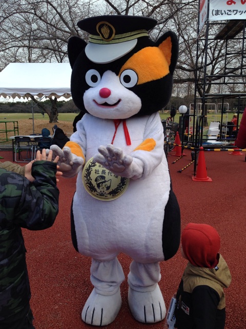f:id:okumusi:20140322095609j:plain f:id:okumusi:20140322095609j:plain