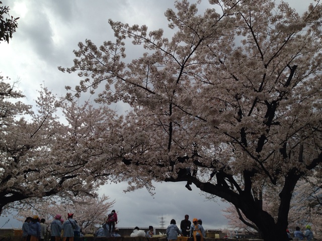 f:id:okumusi:20140405225754j:plain f:id:okumusi:20140405225754j:plain