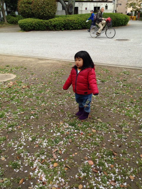 f:id:okumusi:20140405230004j:plain f:id:okumusi:20140405230004j:plain