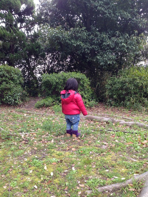 f:id:okumusi:20140405230210j:plain f:id:okumusi:20140405230210j:plain