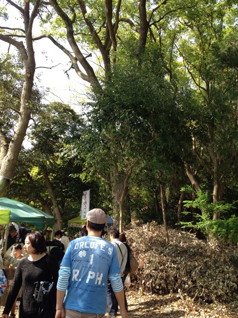 f:id:okumusi:20140428221940j:plain f:id:okumusi:20140428221940j:plain