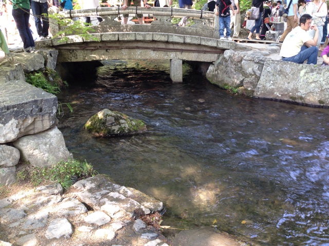 f:id:okumusi:20140428222339j:plain f:id:okumusi:20140428222339j:plain