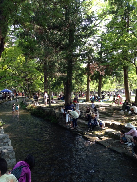 f:id:okumusi:20140428222523j:plain f:id:okumusi:20140428222523j:plain