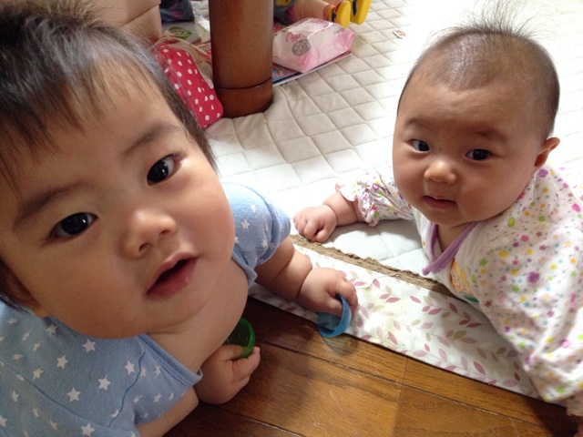 f:id:okumusi:20140509153636j:plain f:id:okumusi:20140509153636j:plain