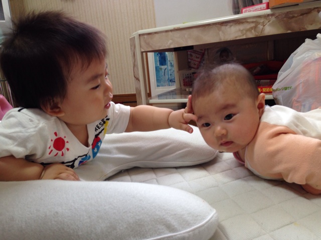 f:id:okumusi:20140509153841j:plain f:id:okumusi:20140509153841j:plain