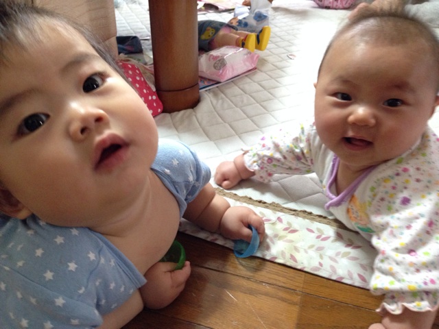 f:id:okumusi:20140509153958j:plain f:id:okumusi:20140509153958j:plain