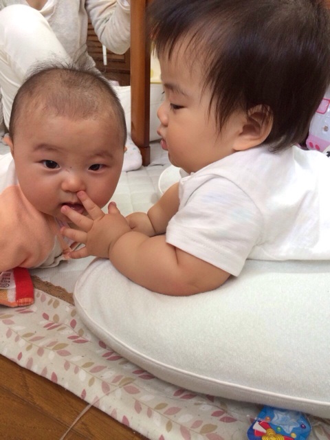 f:id:okumusi:20140509154039j:plain f:id:okumusi:20140509154039j:plain