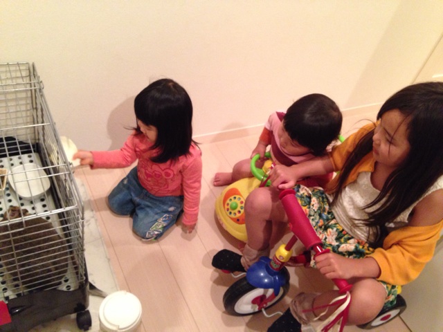 f:id:okumusi:20140509154206j:plain f:id:okumusi:20140509154206j:plain