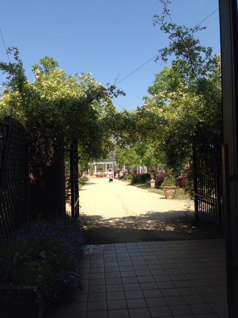 f:id:okumusi:20140509154649j:plain f:id:okumusi:20140509154649j:plain