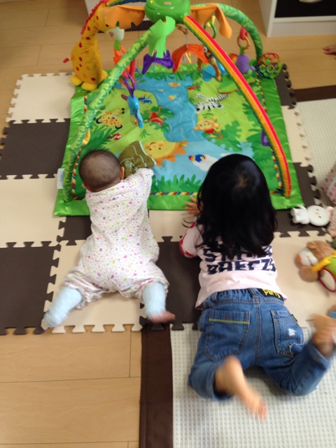 f:id:okumusi:20140509155237j:plain f:id:okumusi:20140509155237j:plain