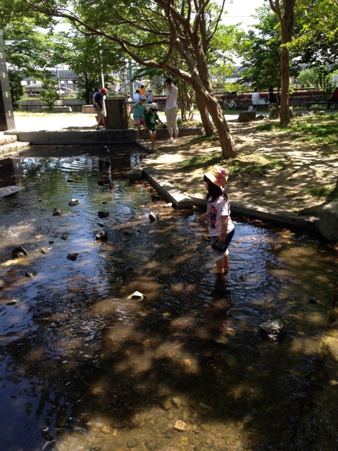 f:id:okumusi:20140517213206j:plain f:id:okumusi:20140517213206j:plain