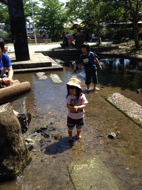 f:id:okumusi:20140517213345j:plain f:id:okumusi:20140517213345j:plain