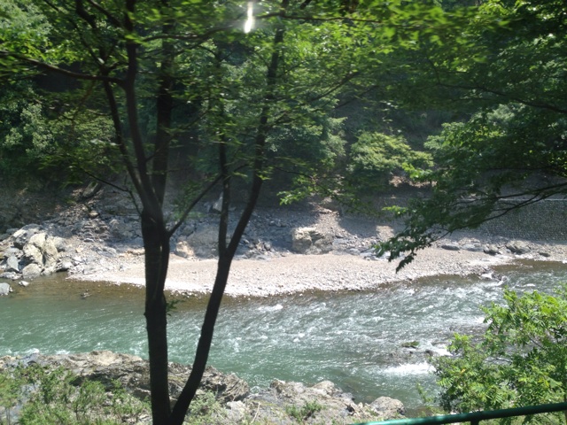f:id:okumusi:20140611100219j:plain f:id:okumusi:20140611100219j:plain