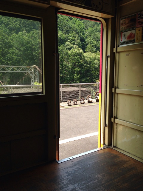 f:id:okumusi:20140611100253j:plain f:id:okumusi:20140611100253j:plain