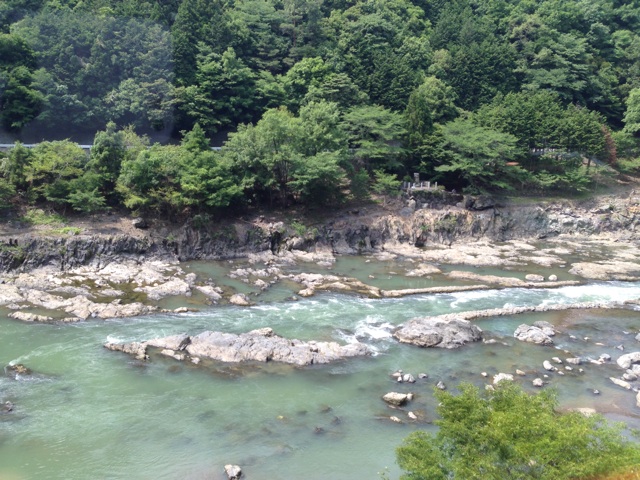 f:id:okumusi:20140611101354j:plain f:id:okumusi:20140611101354j:plain