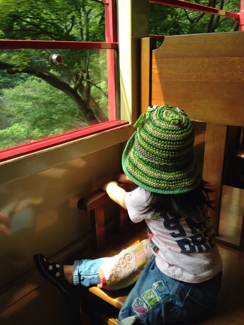 f:id:okumusi:20140611101418j:plain f:id:okumusi:20140611101418j:plain