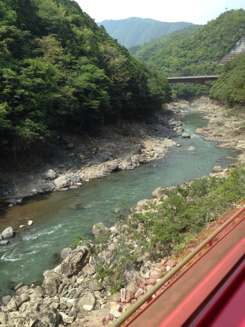 f:id:okumusi:20140611101516j:plain f:id:okumusi:20140611101516j:plain
