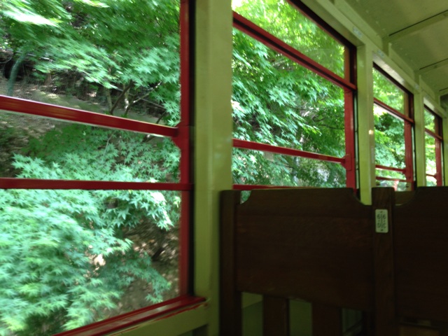 f:id:okumusi:20140611101530j:plain f:id:okumusi:20140611101530j:plain