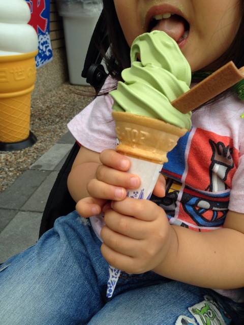 f:id:okumusi:20140611101742j:plain f:id:okumusi:20140611101742j:plain