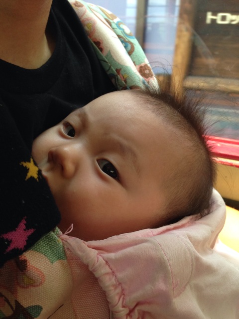 f:id:okumusi:20140611101807j:plain f:id:okumusi:20140611101807j:plain