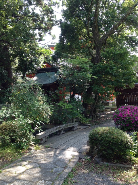 f:id:okumusi:20140620100205j:plain f:id:okumusi:20140620100205j:plain