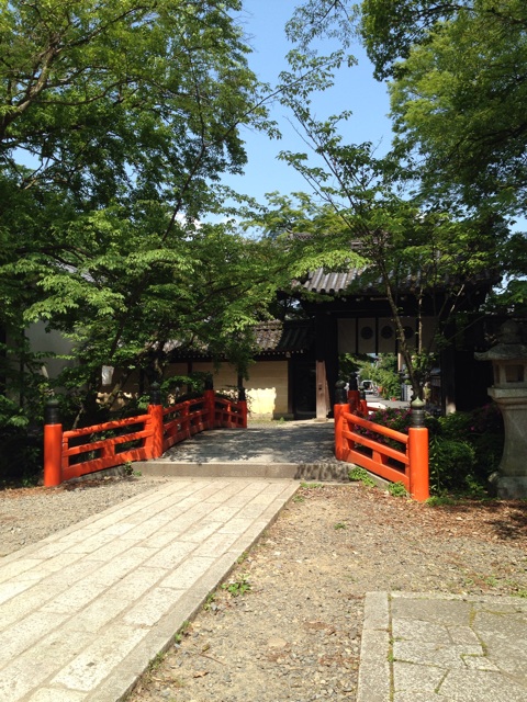 f:id:okumusi:20140620100310j:plain f:id:okumusi:20140620100310j:plain