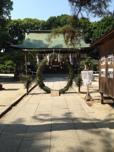 f:id:okumusi:20140620100337j:plain f:id:okumusi:20140620100337j:plain