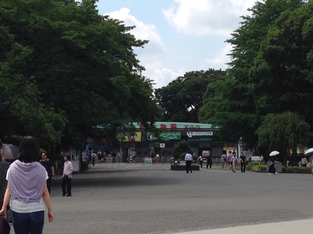 f:id:okumusi:20140715095155j:plain f:id:okumusi:20140715095155j:plain