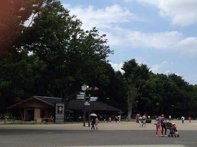 f:id:okumusi:20140715095247j:plain f:id:okumusi:20140715095247j:plain