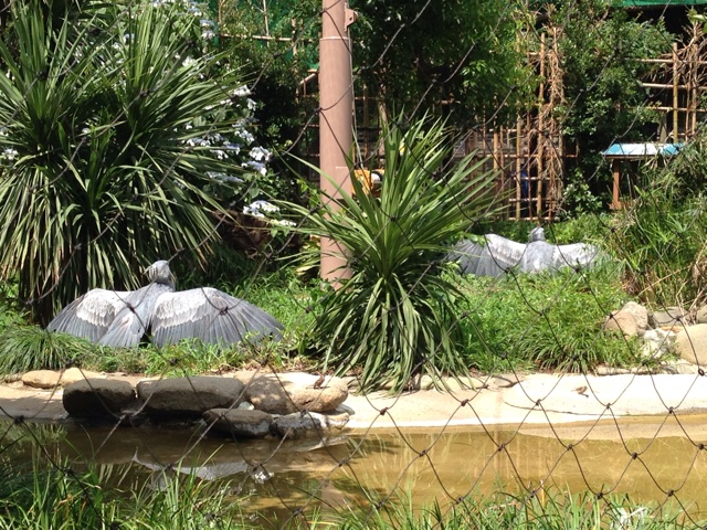 f:id:okumusi:20140715095453j:plain f:id:okumusi:20140715095453j:plain