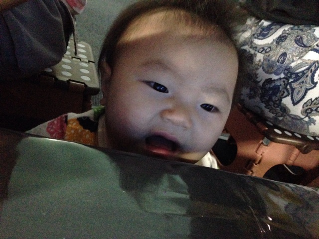 f:id:okumusi:20140829103821j:plain f:id:okumusi:20140829103821j:plain