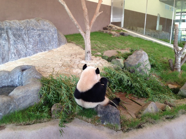 f:id:okumusi:20140930193712j:plain f:id:okumusi:20140930193712j:plain