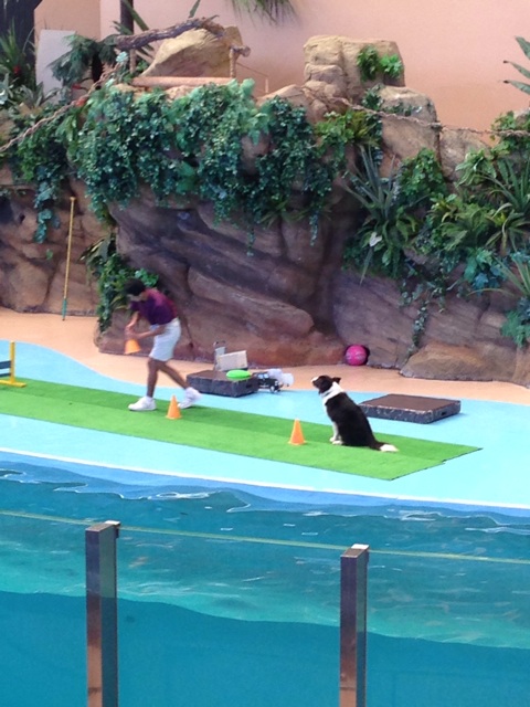 f:id:okumusi:20140930194255j:plain f:id:okumusi:20140930194255j:plain