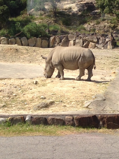 f:id:okumusi:20140930194347j:plain f:id:okumusi:20140930194347j:plain