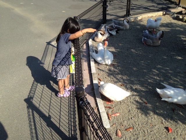 f:id:okumusi:20140930194415j:plain f:id:okumusi:20140930194415j:plain