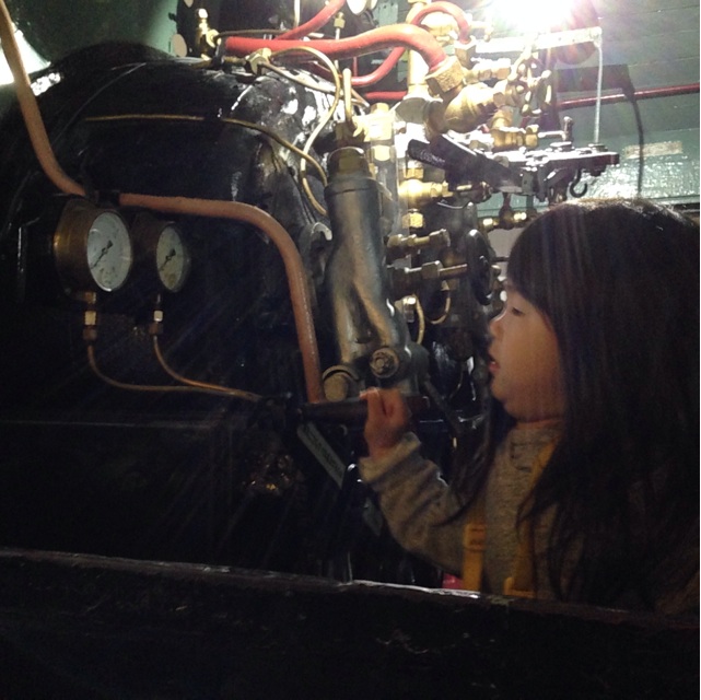 f:id:okumusi:20141124101905j:plain f:id:okumusi:20141124101905j:plain