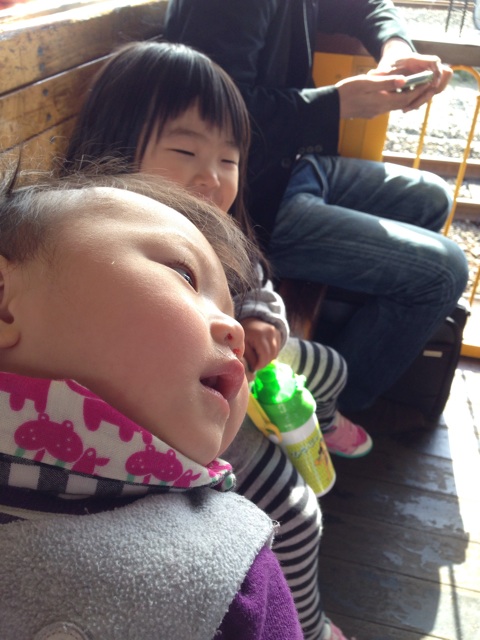 f:id:okumusi:20141124102536j:plain f:id:okumusi:20141124102536j:plain
