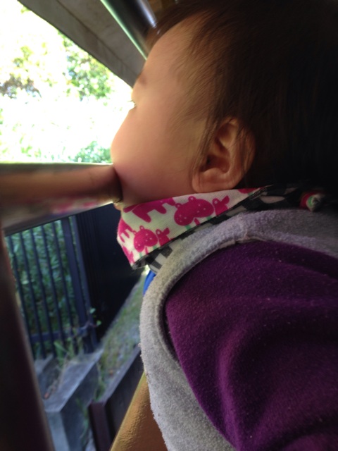 f:id:okumusi:20141124102549j:plain f:id:okumusi:20141124102549j:plain