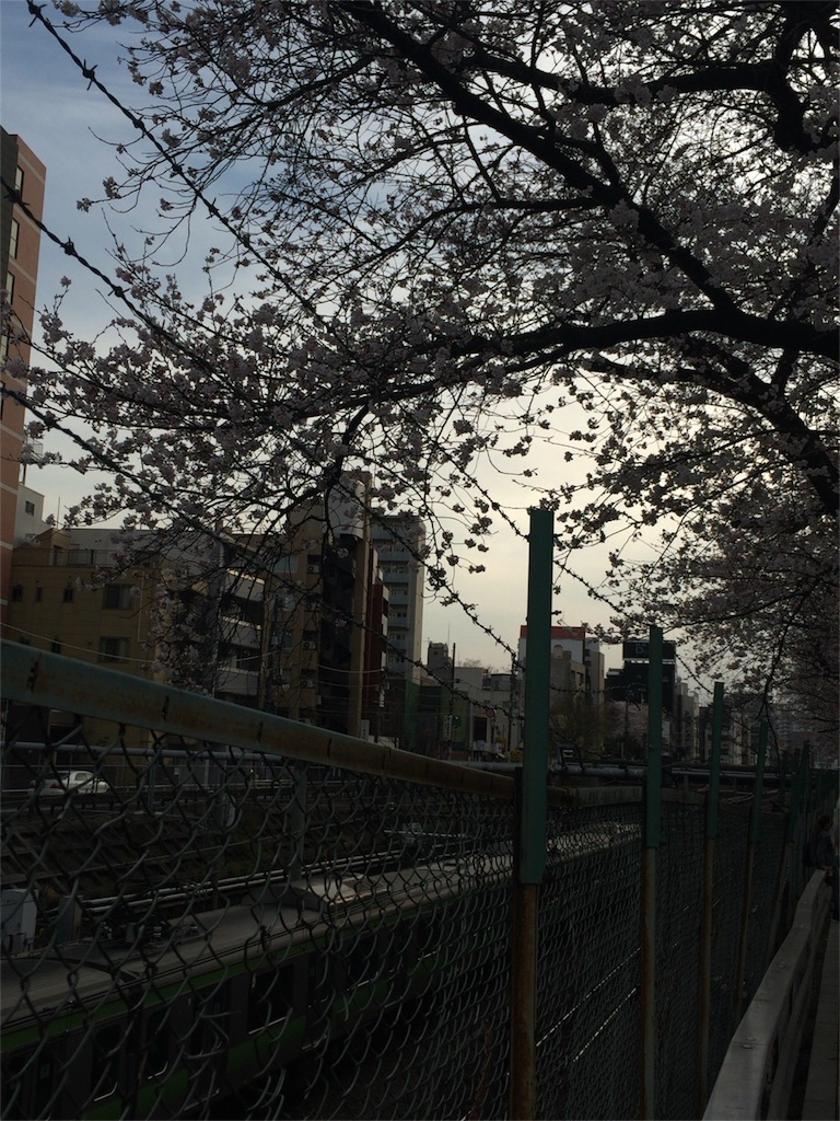 f:id:okutihamiffychan:20160401003836j:image f:id:okutihamiffychan:20160401003836j:image