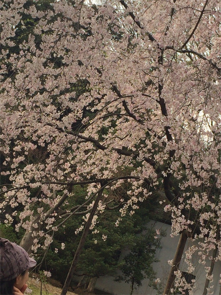 f:id:okutihamiffychan:20160401003910j:image f:id:okutihamiffychan:20160401003910j:image