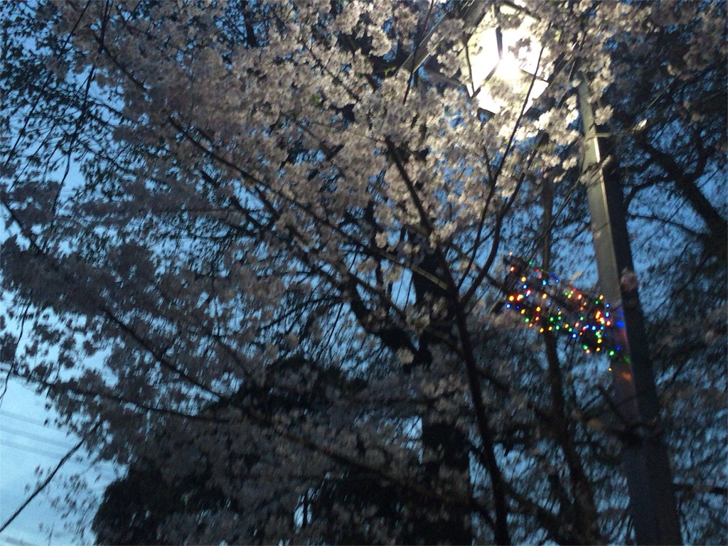 f:id:okutihamiffychan:20160401005430j:image f:id:okutihamiffychan:20160401005430j:image