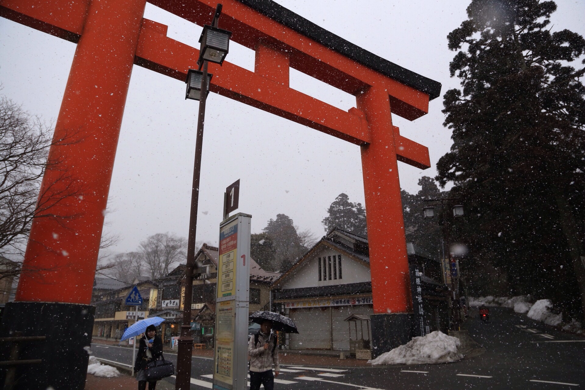 f:id:omapin:20140308001734j:plain f:id:omapin:20140308001734j:plain