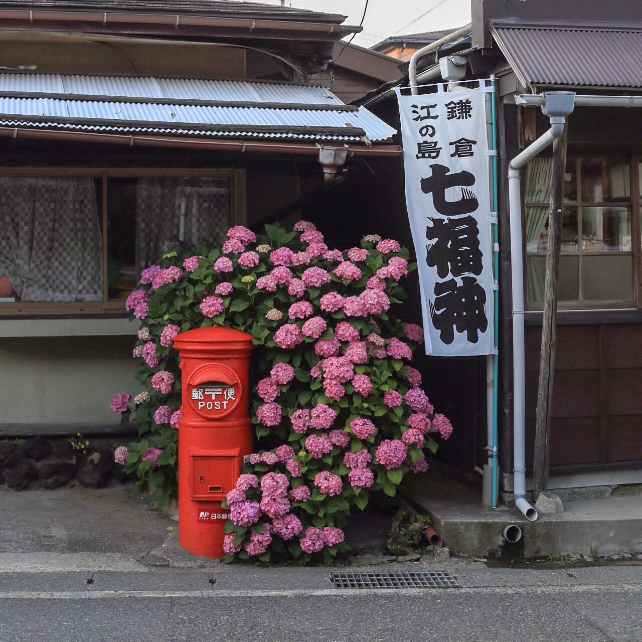 f:id:omapin:20140703190031j:plain f:id:omapin:20140703190031j:plain