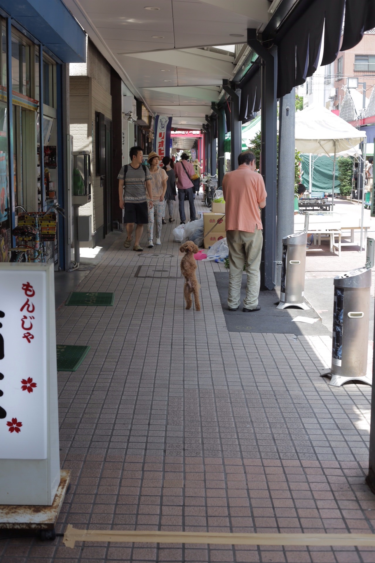 f:id:omapin:20140714185733j:plain f:id:omapin:20140714185733j:plain