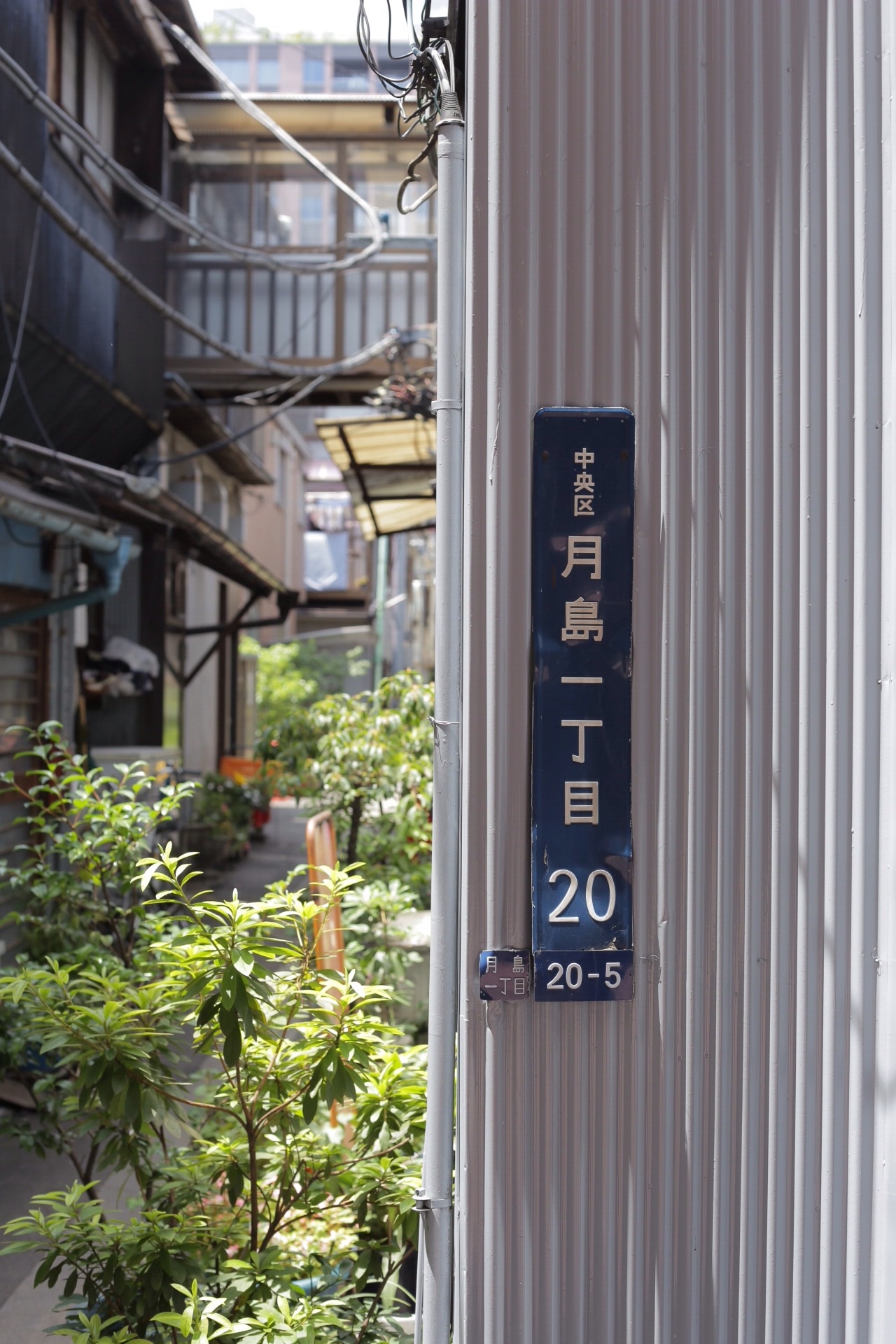 f:id:omapin:20140714185958j:plain f:id:omapin:20140714185958j:plain