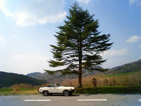 f:id:omizu:20080429143500j:image f:id:omizu:20080429143500j:image