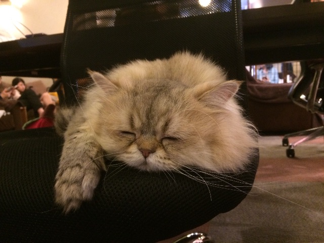 f:id:omochi_gumi:20150503015751j:image f:id:omochi_gumi:20150503015751j:image