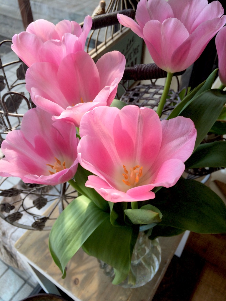f:id:omoimierukaigi:20160402000340j:image f:id:omoimierukaigi:20160402000340j:image