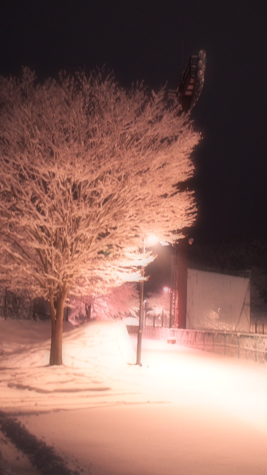 f:id:one00one:20150131182609j:plain f:id:one00one:20150131182609j:plain