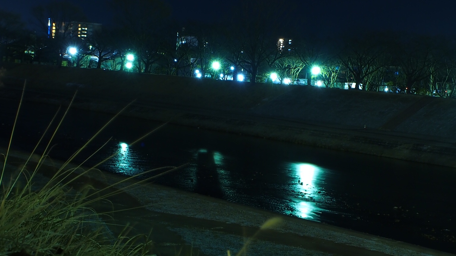 f:id:one00one:20150217095656j:plain f:id:one00one:20150217095656j:plain